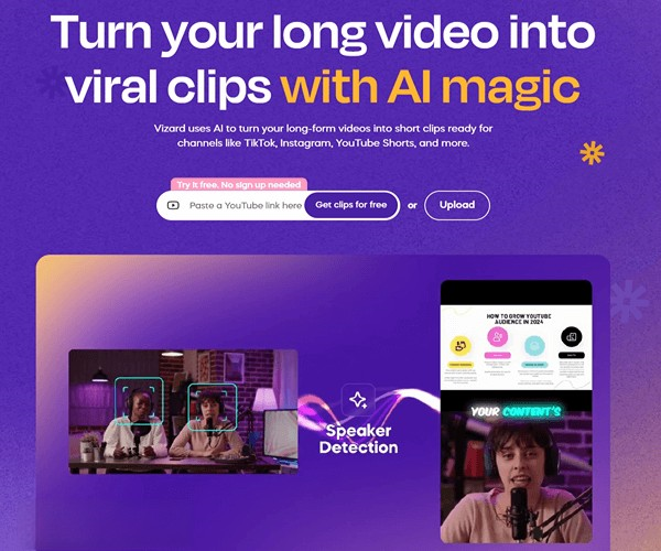 Vizard